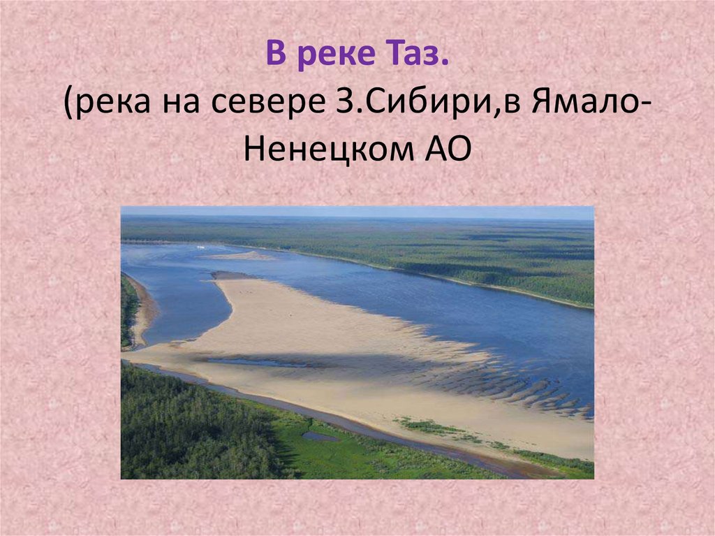 Река таз карта