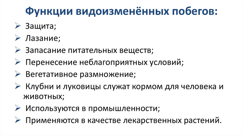 Функции побега. Функции видоизмененных побегов таблица. Функции видоизмененных побегов. Функции видоизменения побегов. Видоизмененные побеги функции.