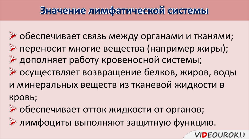 Что значит система. Значение лимфатической системы. Значениелимфатическй системы. Значение лимфатической системы для организма. Значение лисфатиче лимфатическая система.