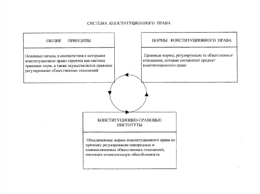 3 конституционно правовые институты. Нормы конституционного права схема. Конституционное право специальная норма.