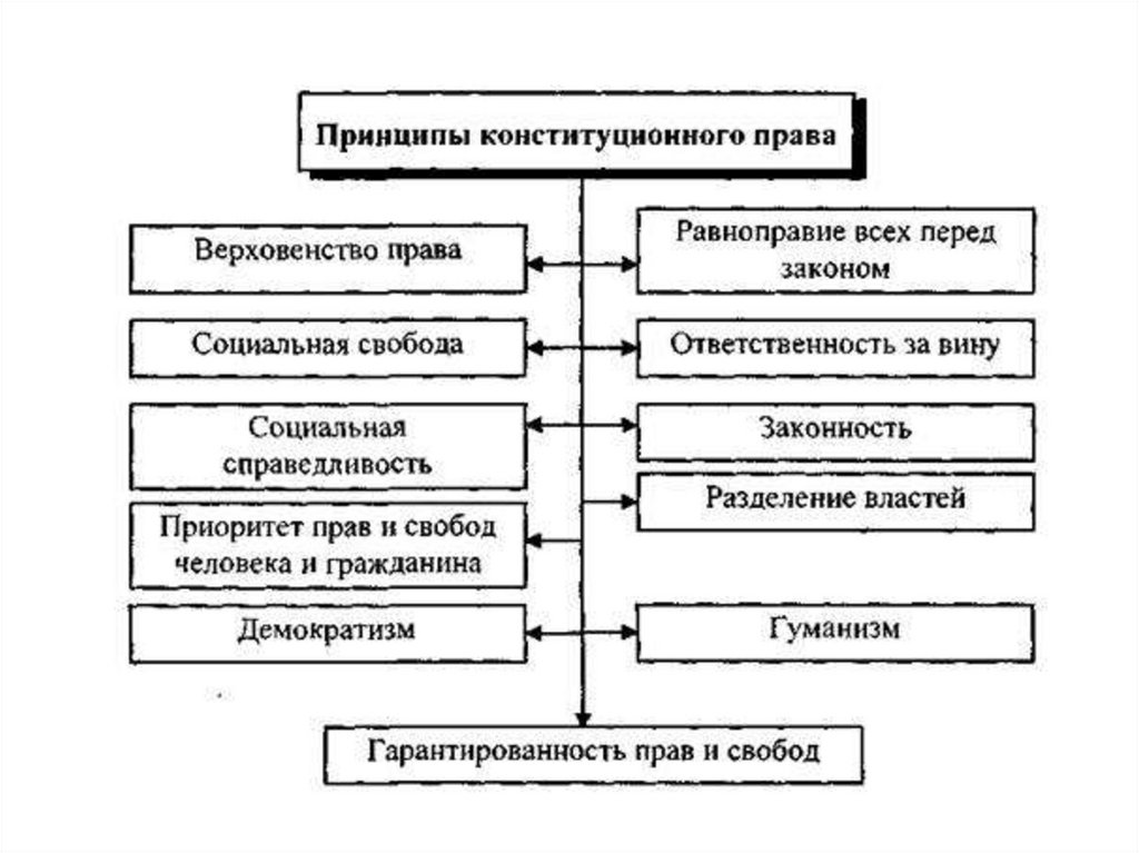 Схемы по конституционному праву