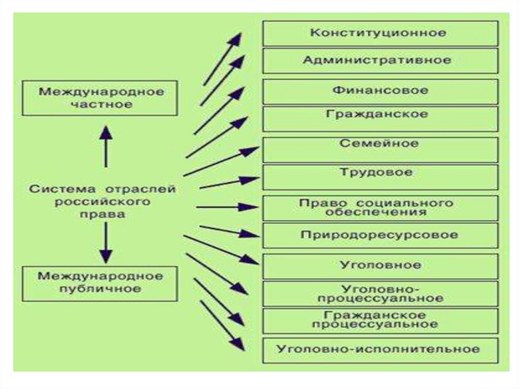 Административное право как отрасль российского права план