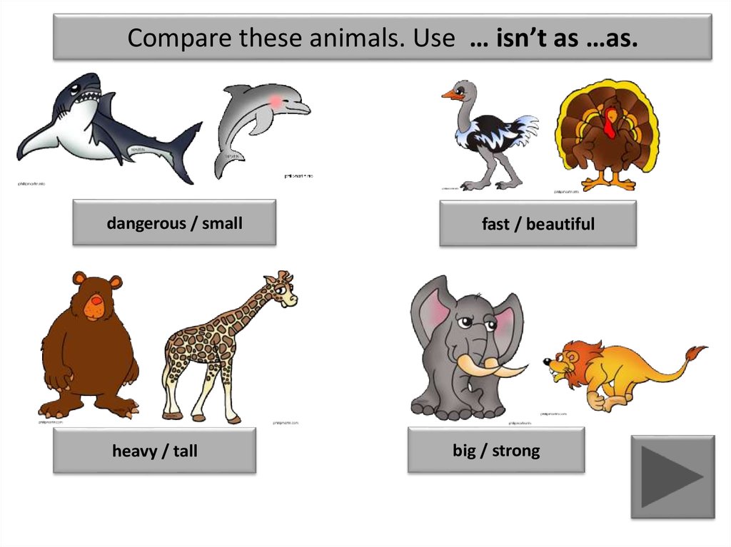 comparison-of-adjectives-online-presentation