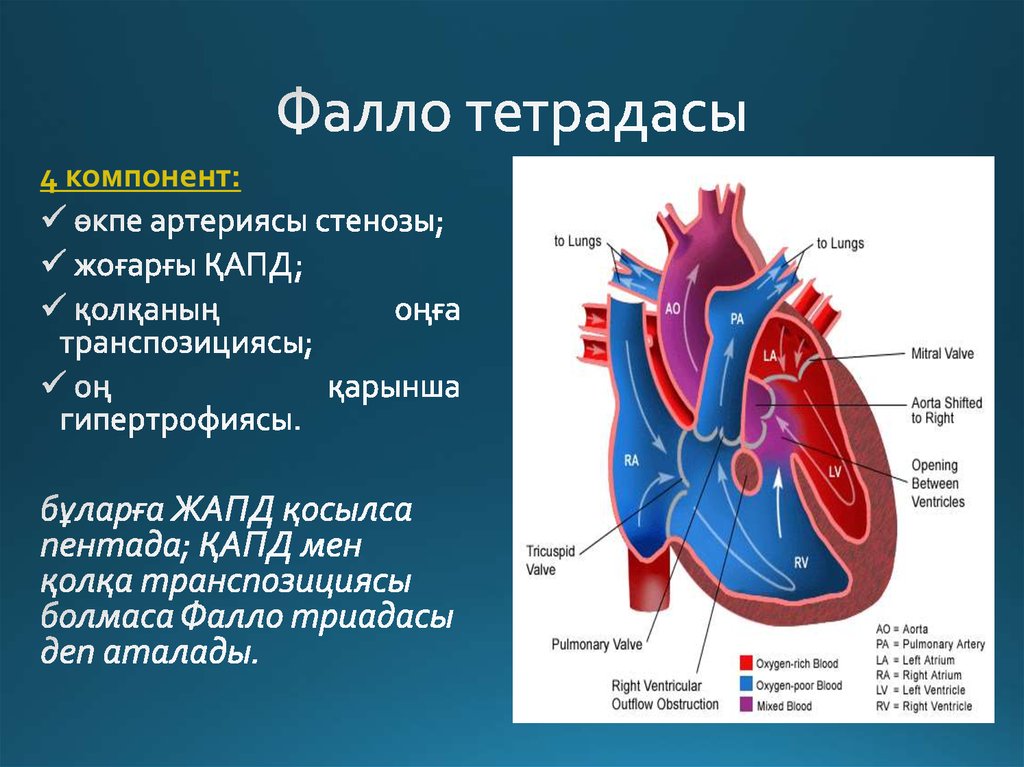 Триада фалло презентация