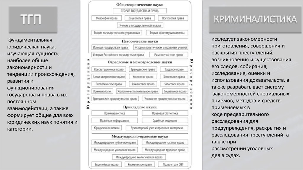 Функционирование государства тгп