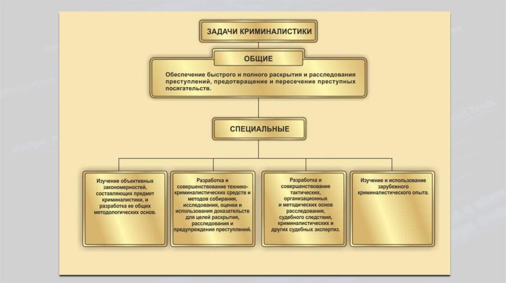 Система криминалистической фотографии состоит из двух частей