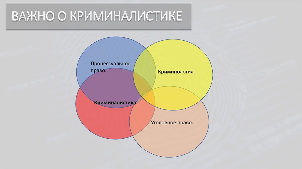 Криминология картинки для презентации