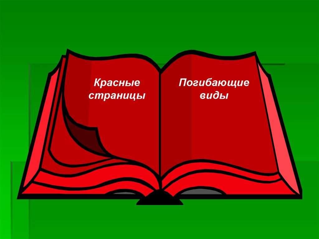 Красная книга география 6 класс