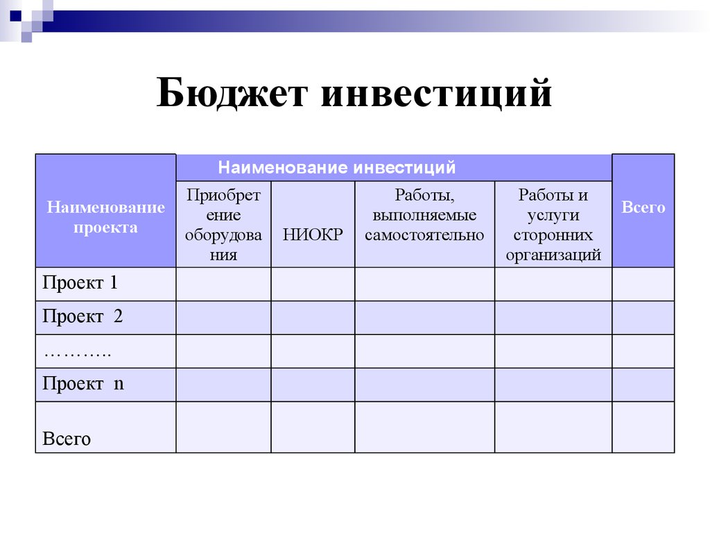 Инвестиционный бюджет проекта