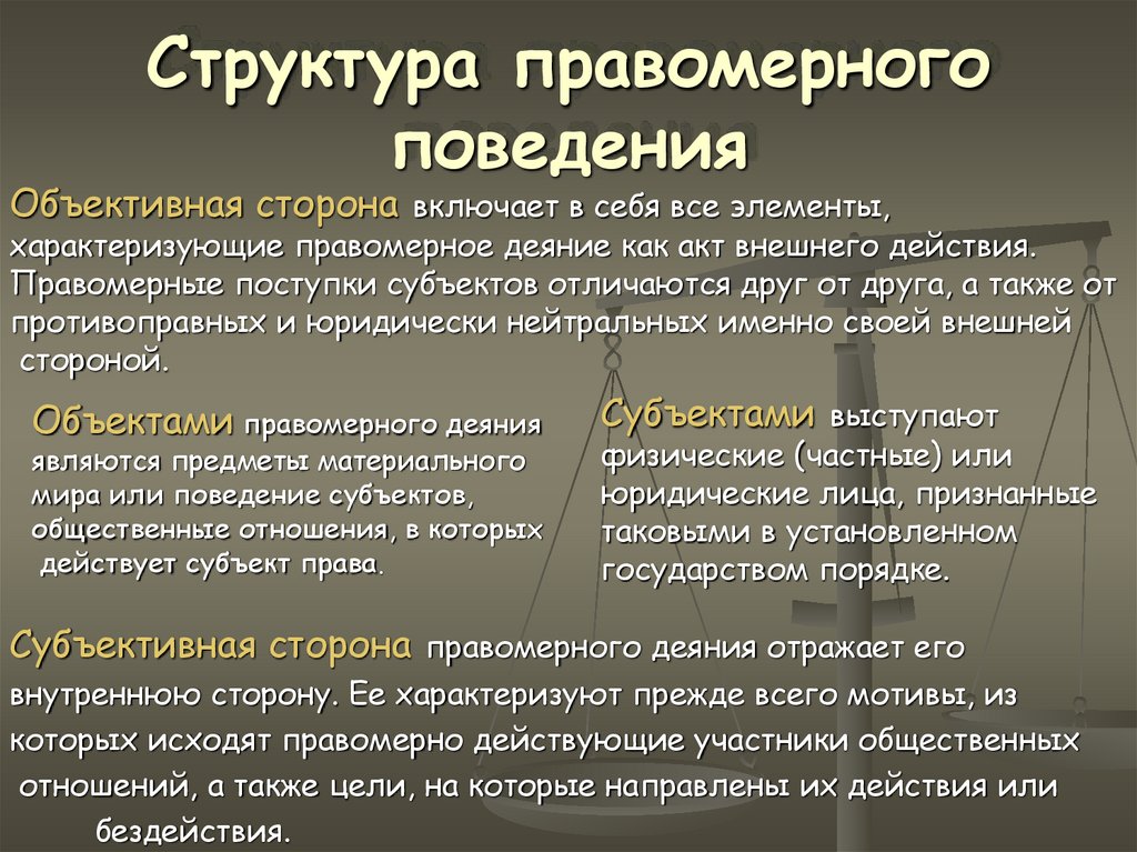 Правомерное и противоправное поведение план егэ обществознание