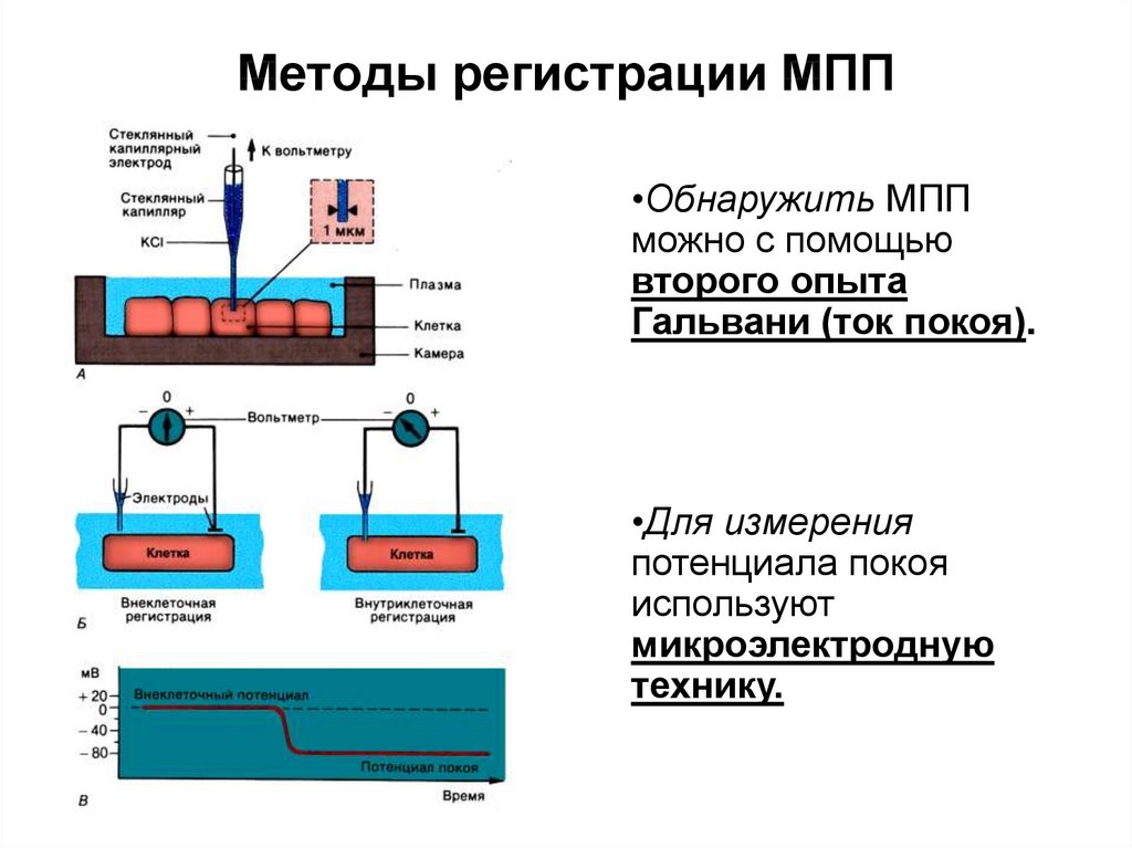 Метод регистрации