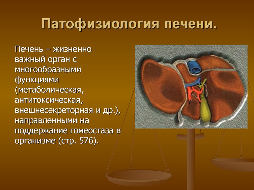 Печеночная недостаточность патофизиология. Патофизиология печени. Патология печени патофизиология. Функции печени патофизиология. Патофизиология печени презентация.