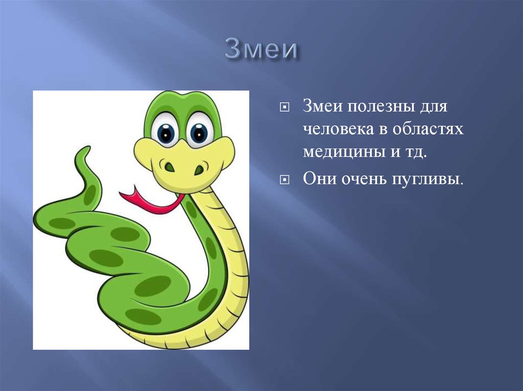 Змейка 1 класс. Загадка змея для детей. Загадка про змею. Загадки о змеях. Загадка про змею для детей.