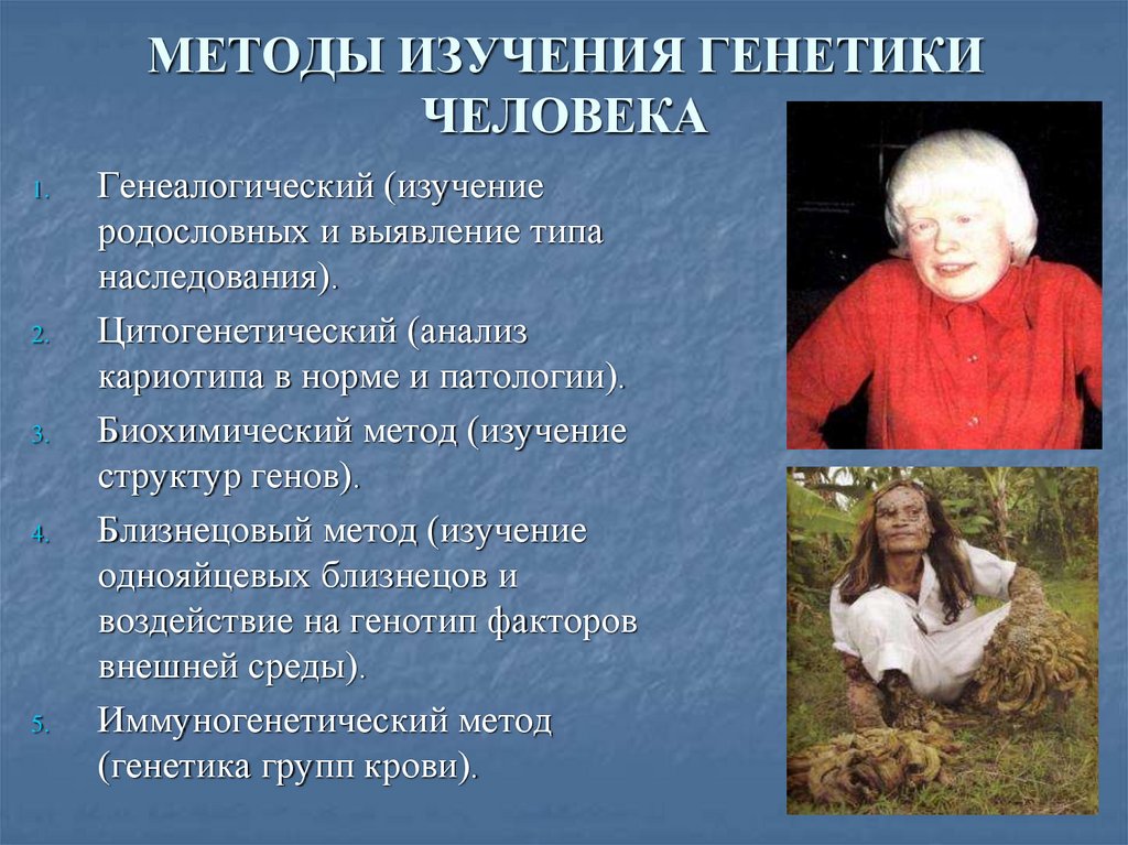 Методы изучения генетики человека. Методы изучения генетики человека генеалогический метод. Биохимический метод изучения генетики человека. Генетика человека методы изучения генетики человека. Методы изучения генетики человека генеалогический