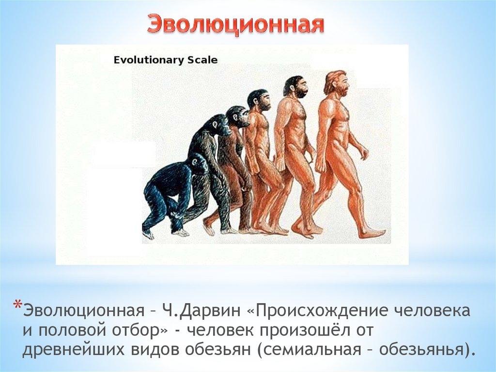 Эволюционное происхождение человека презентация 9 класс пономарева. «Происхождение человека и половой отбор» (1871). Книга Дарвина происхождение человека и половой отбор. Человек произошел от обезьяны.