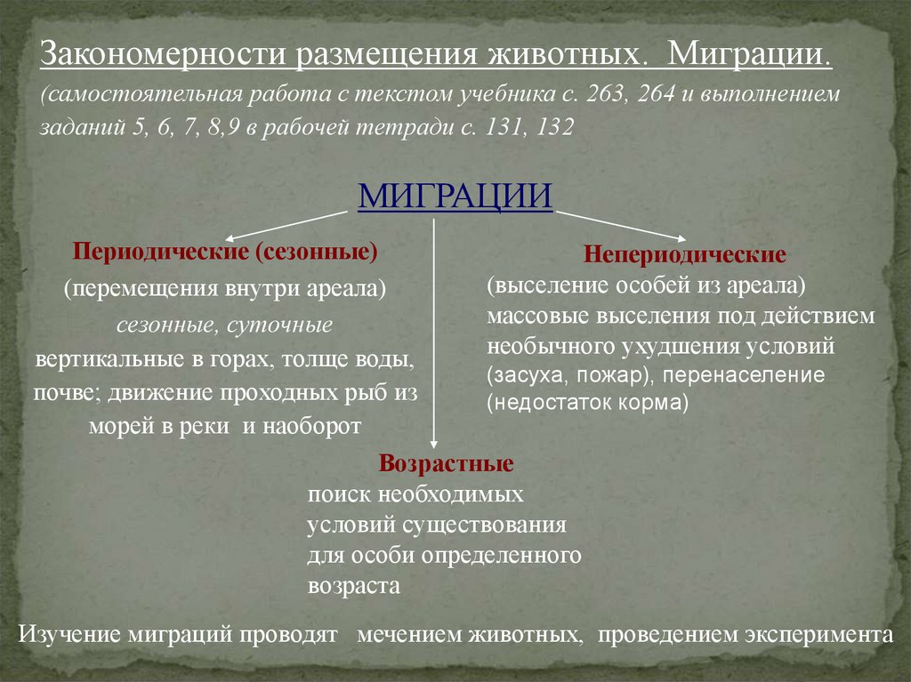 Ареалы обитания миграции закономерности размещения животных презентация