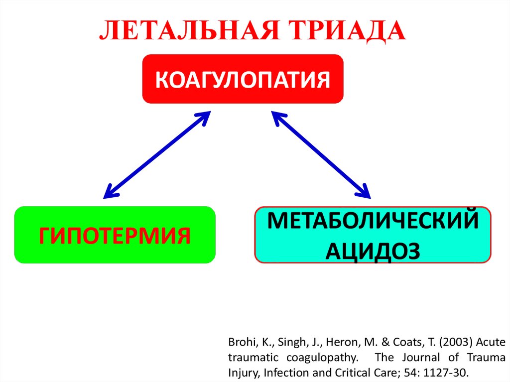 Гоминидная триада