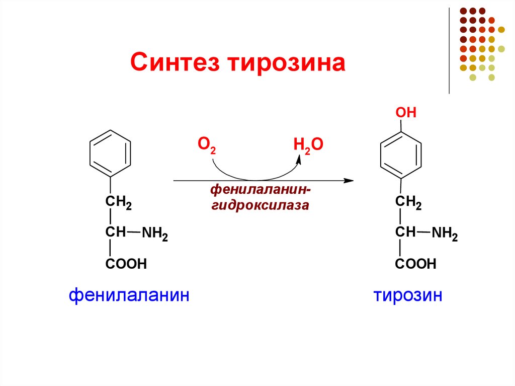 Пэт с тирозином. Синтез из тирозина. Непрямое дезаминирование тирозина. Дезаминирование тирозина. Синтез фенилаланина.