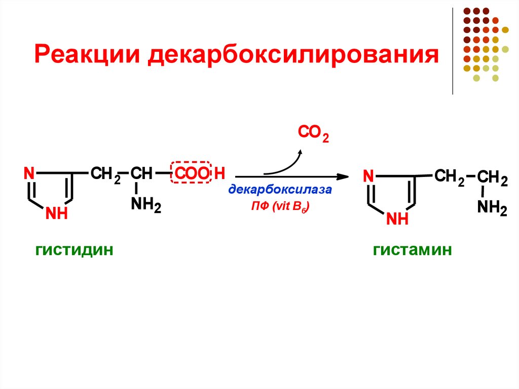 Окислительное дезаминирование глутаминовой кислоты