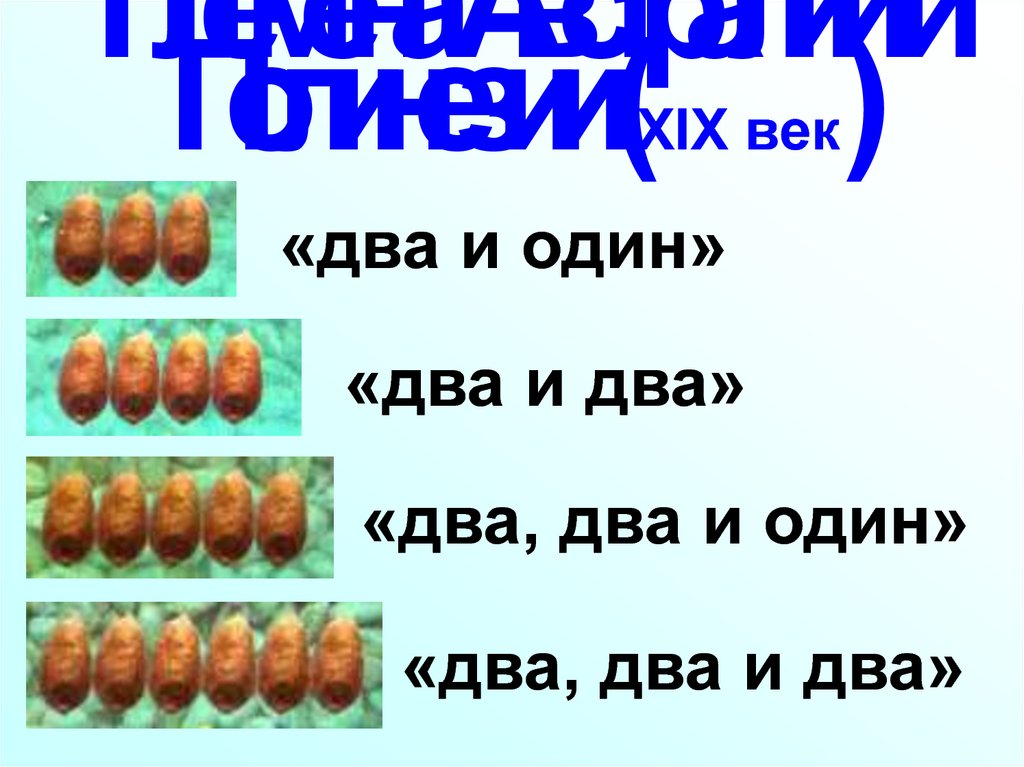 Племена Австралии и Полинезии (XIX век)