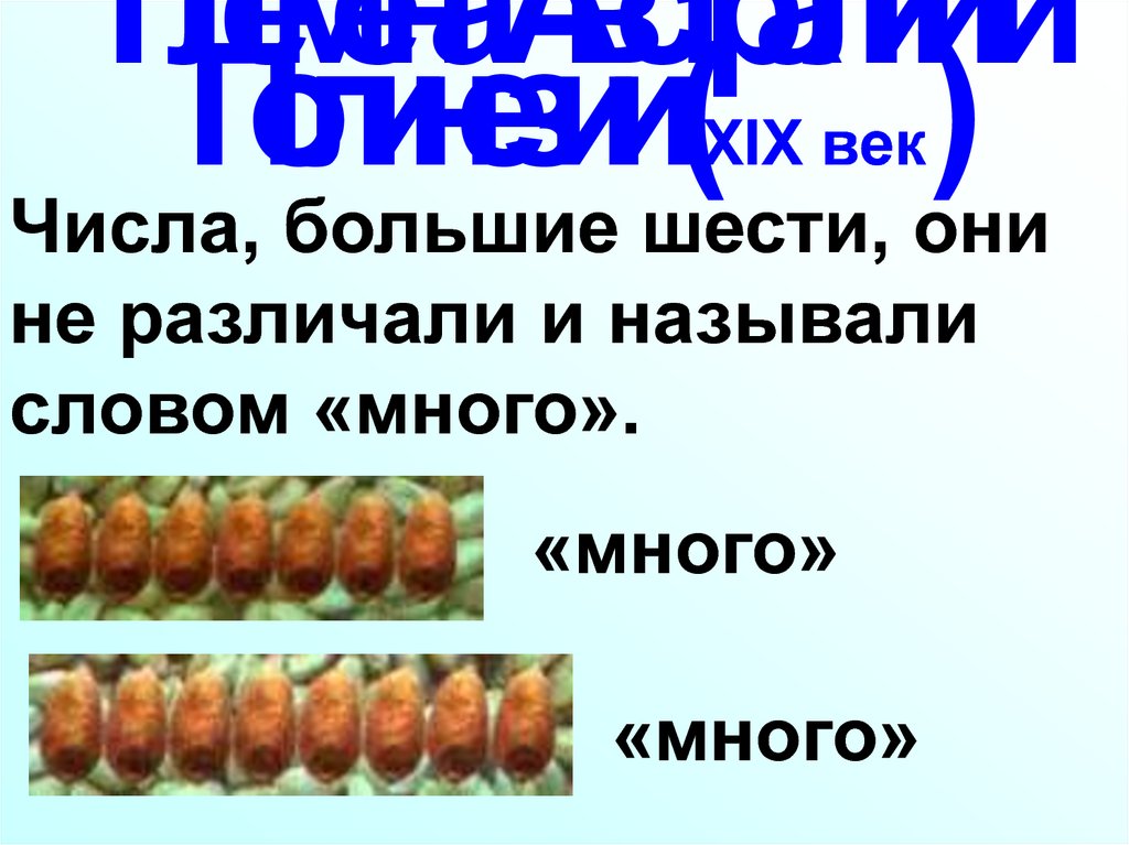 Племена Австралии и Полинезии (XIX век)