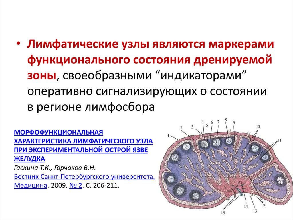 Изменение лимфатического узла