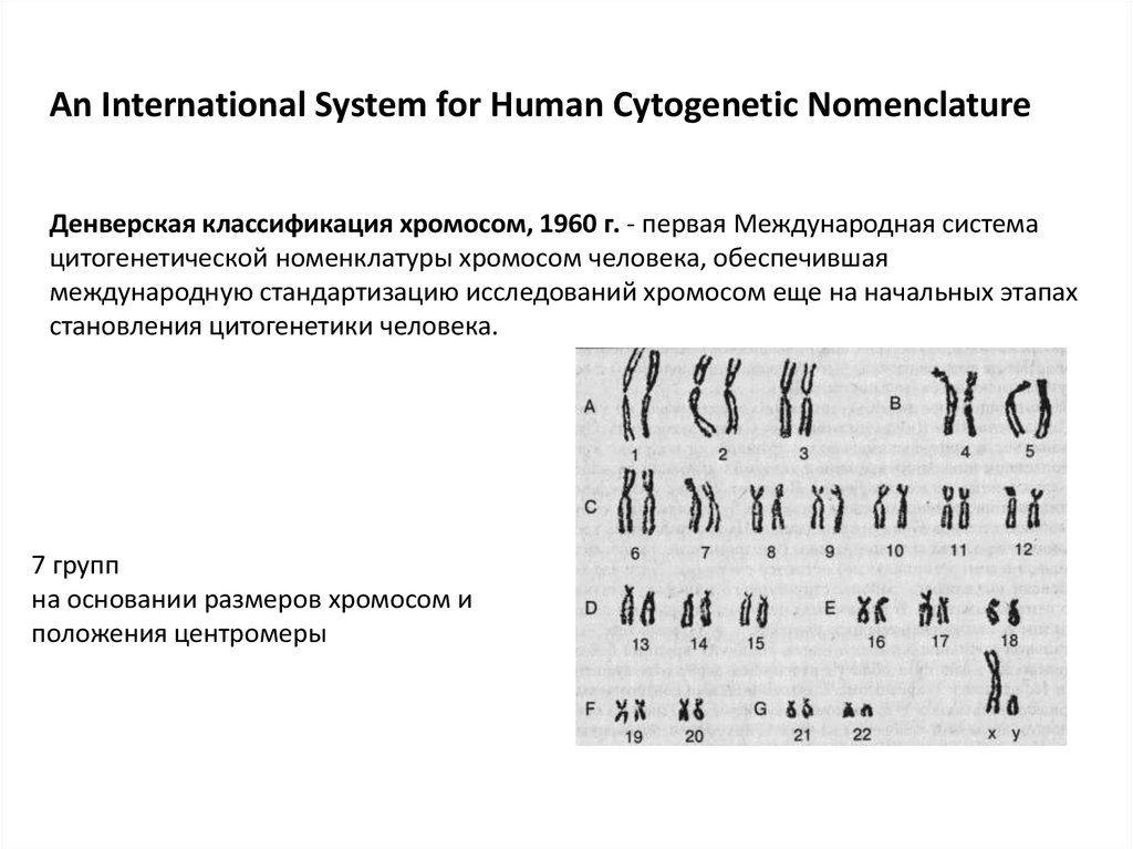 Характеристики хромосом человека