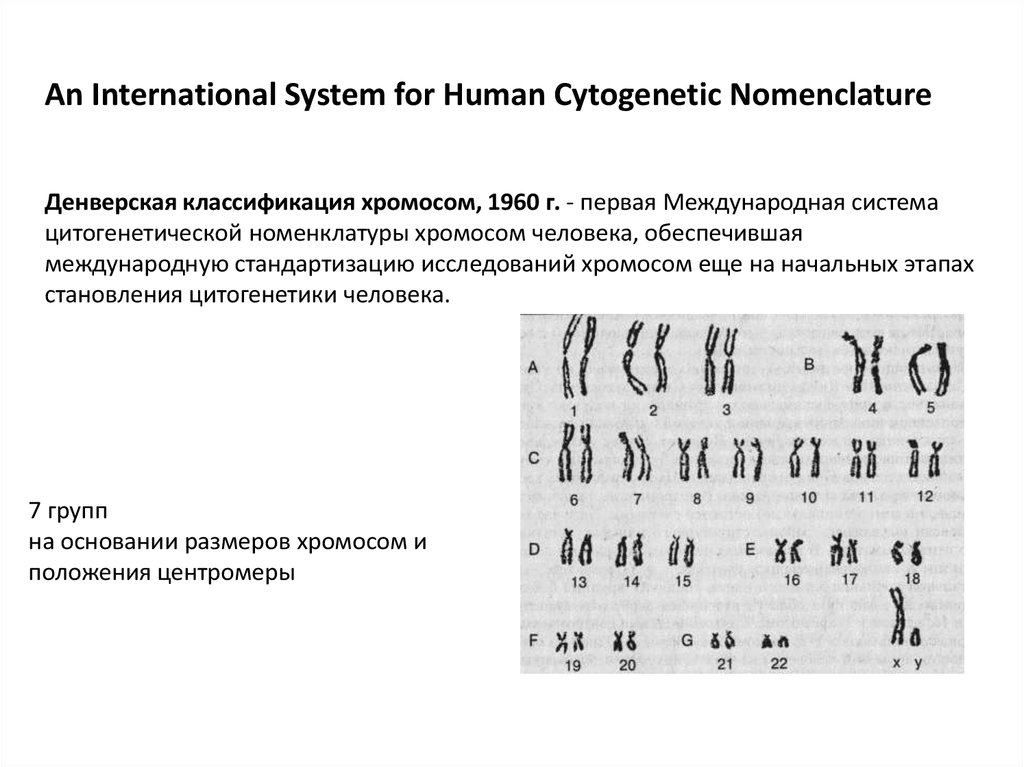 Таблица хромосом. Денверская и Парижская классификация хромосом. Кариотип человека Денверская классификация хромосом. Кариотип человека классификация хромосом человека. Денверская система хромосом.