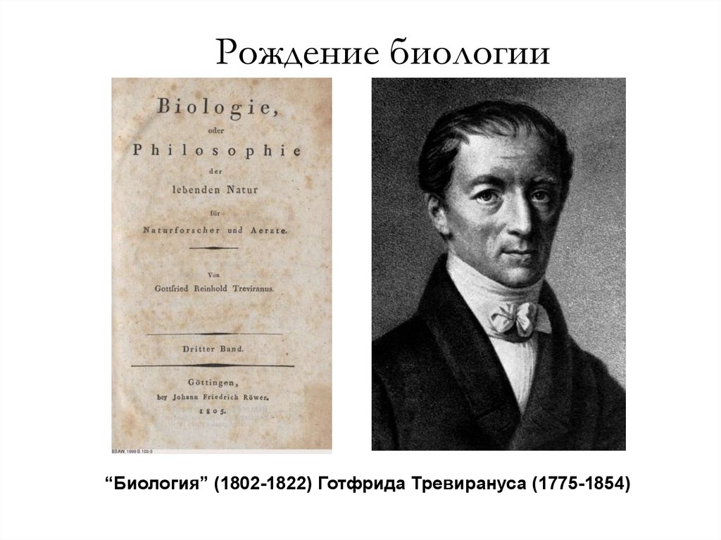 Тревиранус. Готфрид Рейнхольд Тревиранус. Тревиранус в биологии кратко. История биологии.