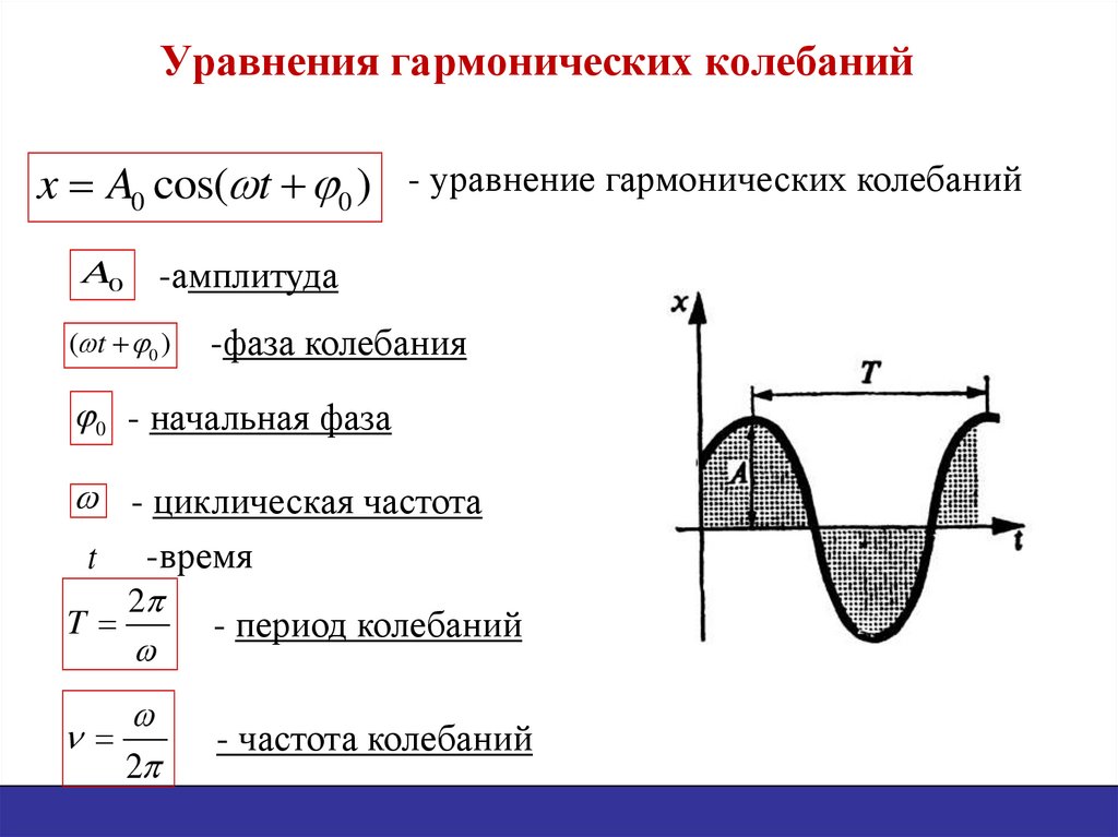 Уравнения гармонических колебаний