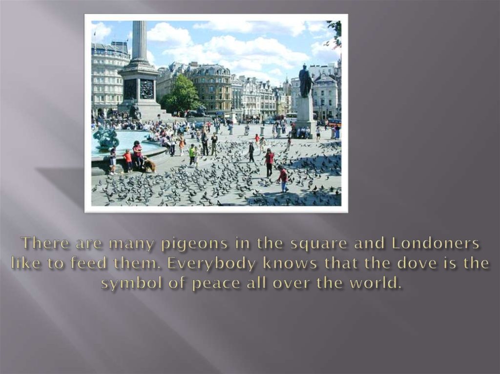 There are many pigeons in the square and Londoners like to feed them. Everybody knows that the dove is the symbol of peace all
