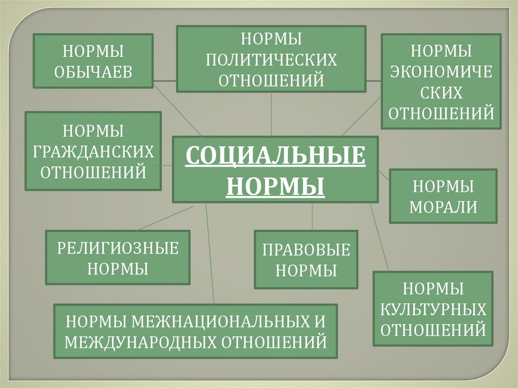 Социальные нормы государством