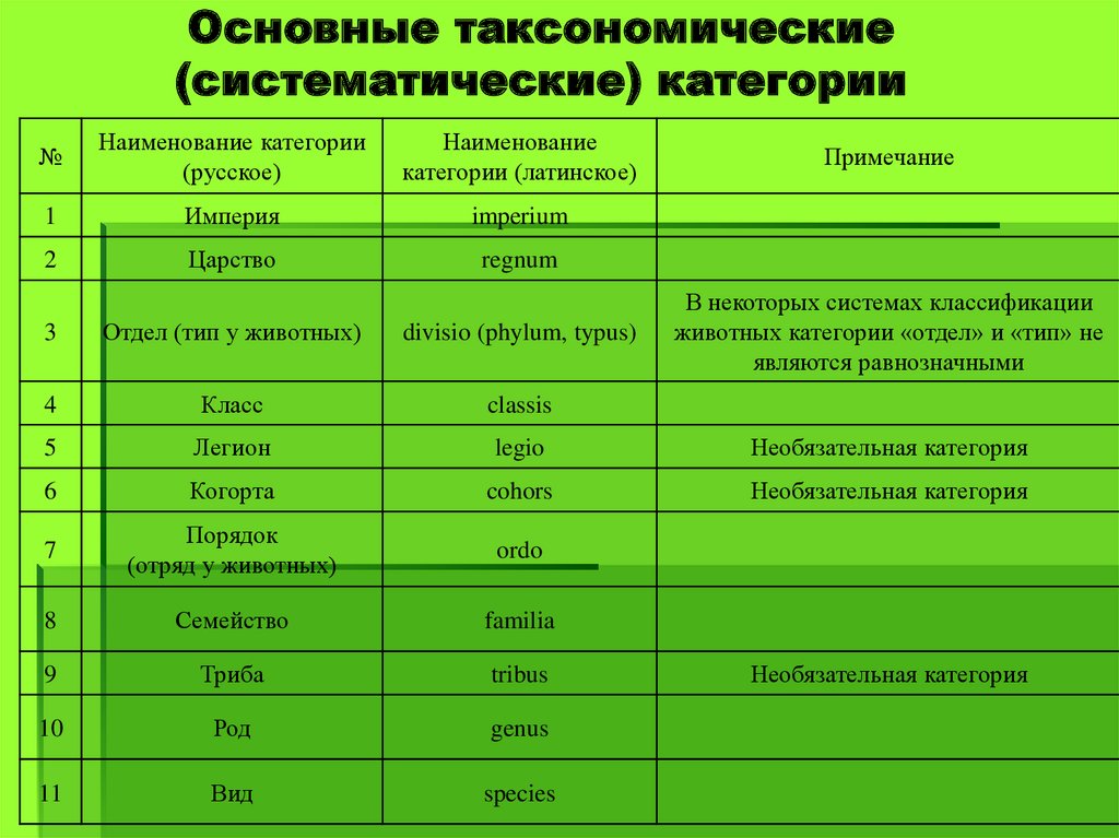 Основные систематические группы