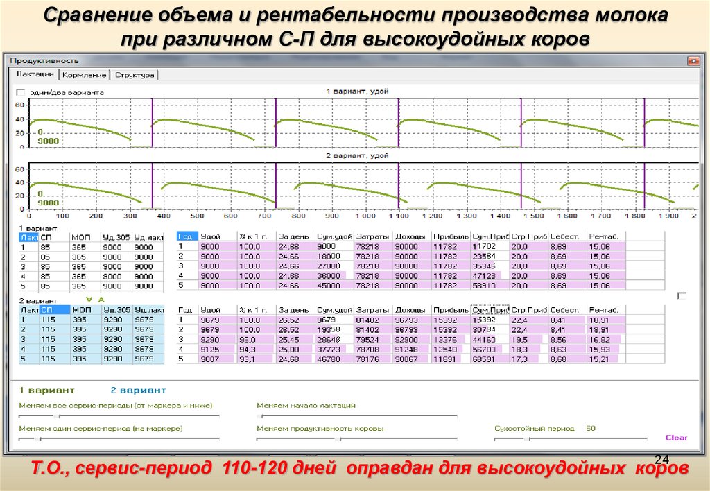 Период 120 дней. Сервис период для высокоудойных коров. Продолжительность сервис периода у коров. Рентабельность производства молока. Сервис период.