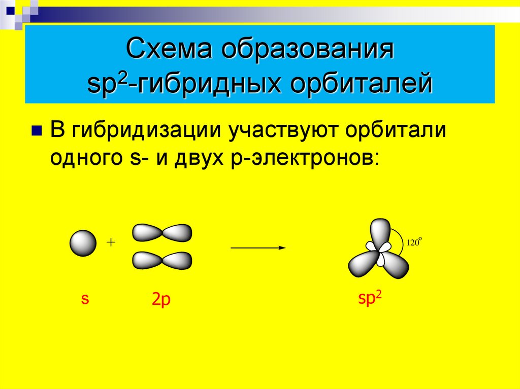 Этилен состояние гибридизации. Гибридизация атомных орбиталей SP, sp2 sp3. Схема образования sp2 гибридных орбиталей. Схема образования SP -гибридных орбиталей. Схема образования sp3 гибридных орбиталей.