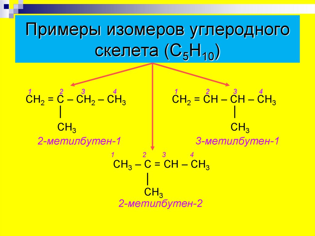 2 метилбутен 2 изомерия. Декен-3 изомер углеродного скелета. Углеродный скелет с4н10. С5н10 изомеры углеродного скелета. 2-Метилбутен-1 углеродный скелет.
