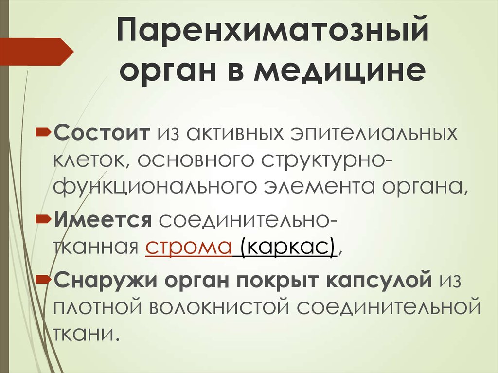 Паренхиматозные органы. Паранхемальные органы. Строение паренхиматозных органов. Паренхимальный орган.