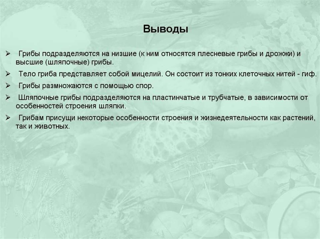 Вывод об особенностях. Вывод по грибам. Вывод про грибы. Строение грибов вывод. Заключение о грибах.