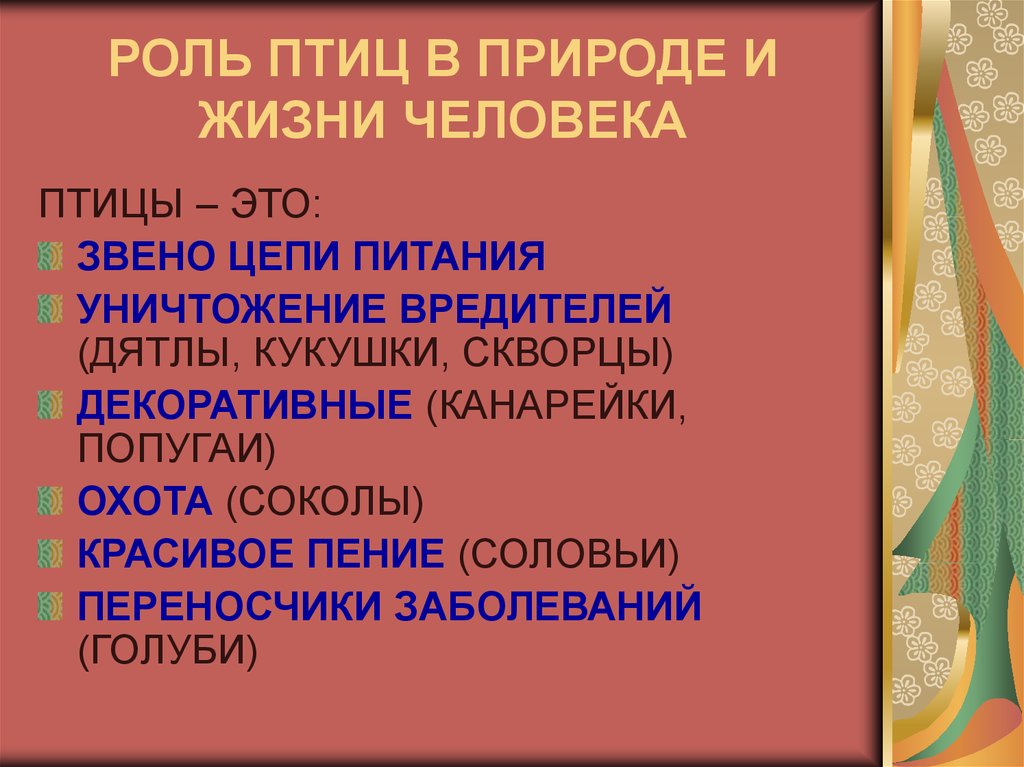 Роль птиц в жизни человека презентация