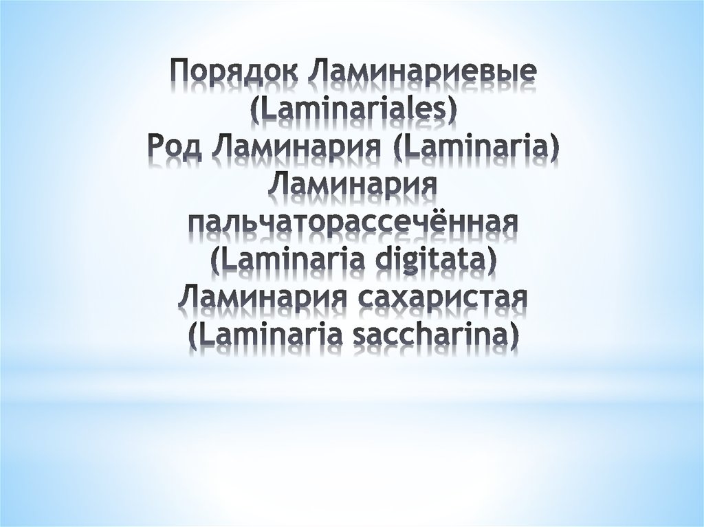 Порядок Ламинариевые (Laminariales) Род Ламинария (Laminaria) Ламинария пальчаторассечённая (Laminaria digitata) Ламинария