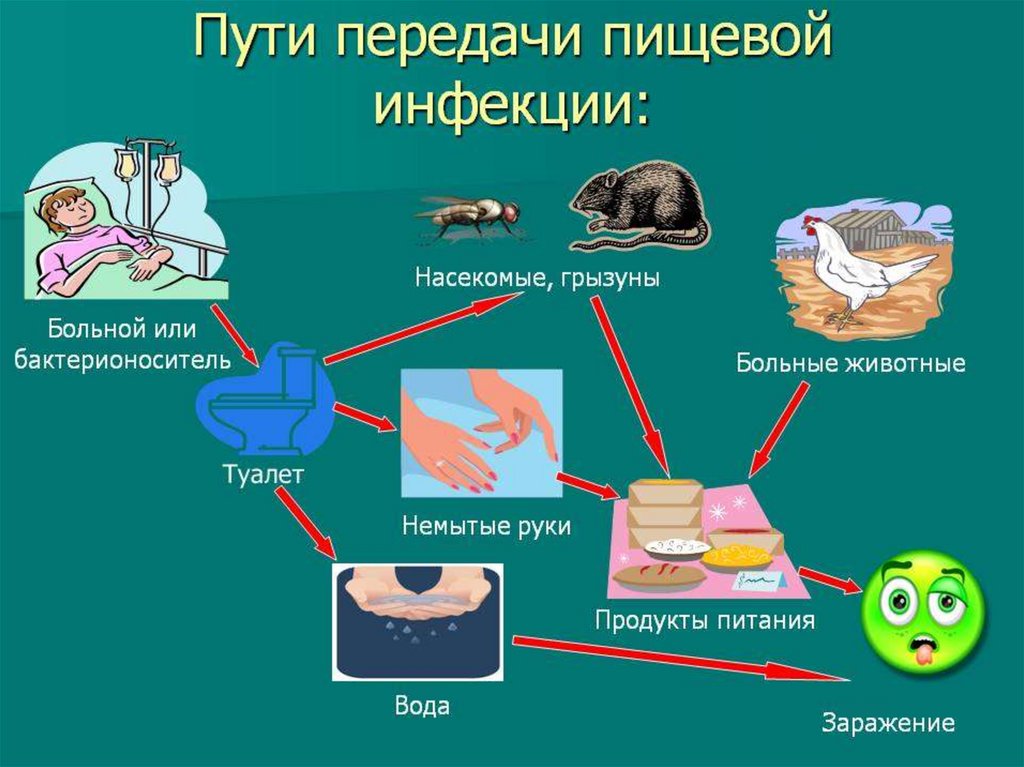 Кишечные заболевания пути передачи. Пути передачи кишечных инфекций. Пути передачи болезнетворных бактерий. Пищевой путь передачи инфекции. Пути передачи инфекционных болезней.