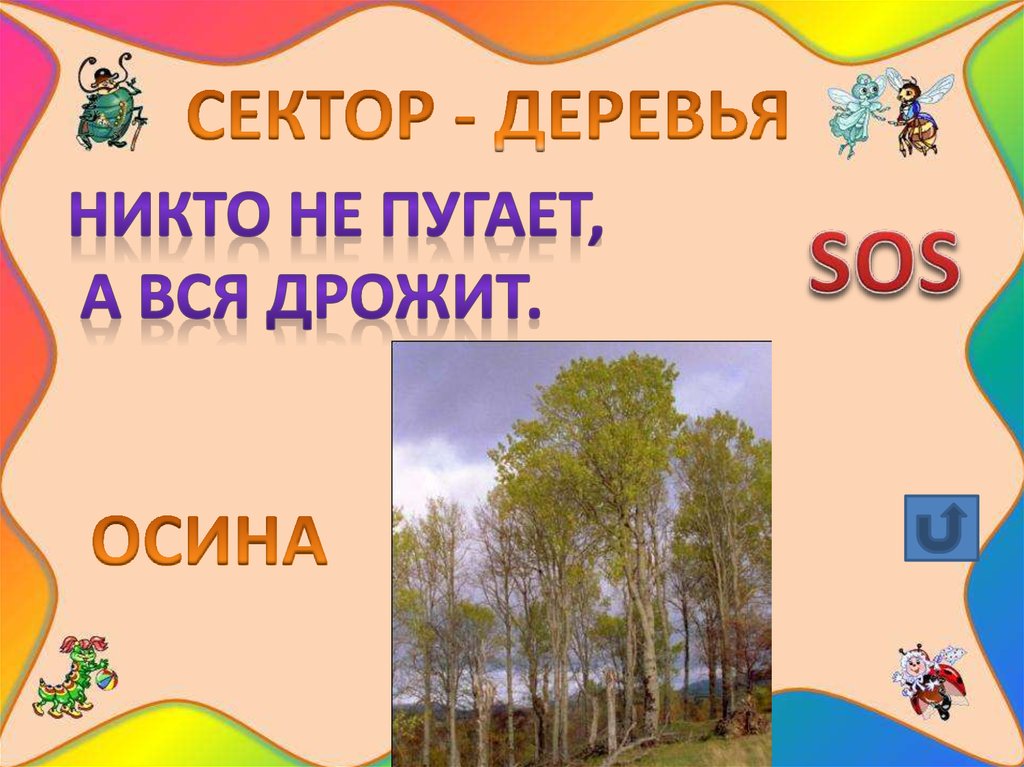 Никто не пугает а вся дрожит. Отгадай загадку никто не пугает а вся дрожит. Никто не пугает а вся дрожит отгадка. «По Лесной тропе родного края».