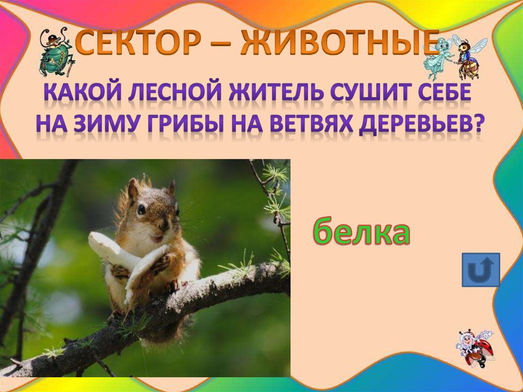 Лесной какой. Лесной это какой. Какой Лесной обитатель сушит на деревьях грибы?. Белка какая прилагательные. Какой Лесной зверек сушит сам себе грибы на зиму.