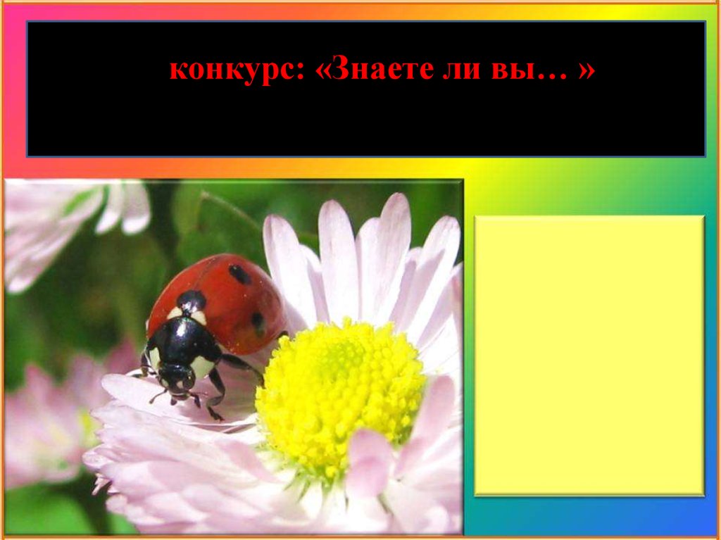 Конкурсы знаешь ли ты. Конкурс «знаете ли вы сказки».. Конкурс вы знаете. Конкурс знаю все я о тебе.