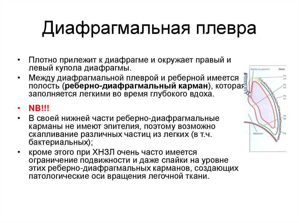 Врожденная диафрагмальная грыжа презентация