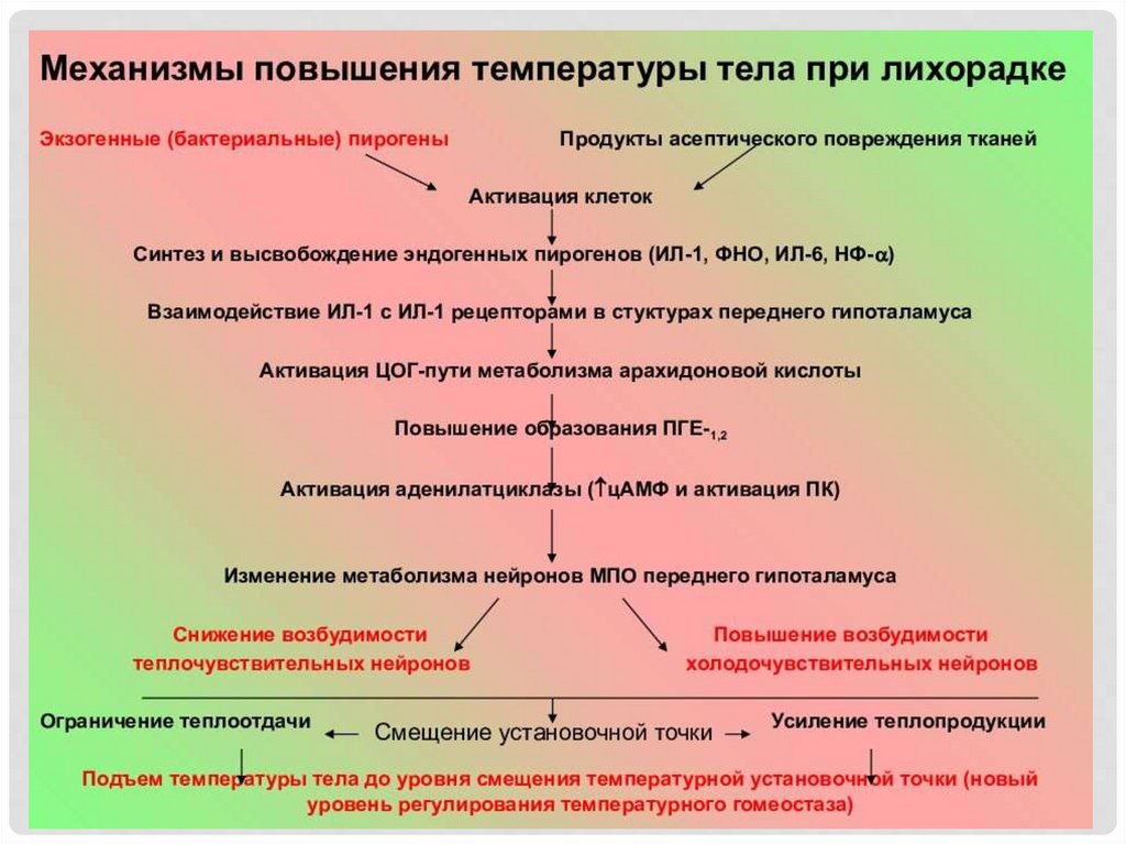 Причины повышающие температуру тела. Механизм повышения температуры при лихорадке. Механизм повышения температуры тела при лихорадке патофизиология. Механизм подъема температуры при лихорадке. Механизм изменения температуры тела при лихорадке схема.