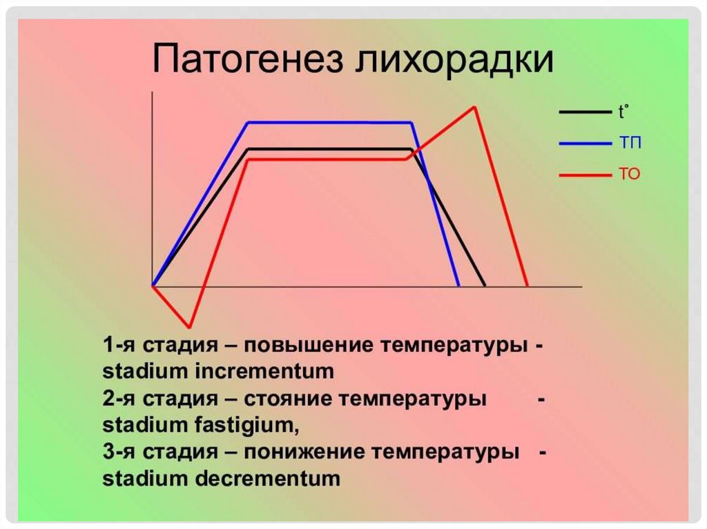 Схема патогенеза лихорадки