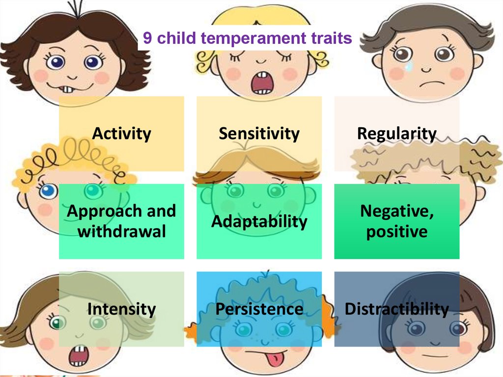 human-temperament-fundamental-personality-types-vector-image