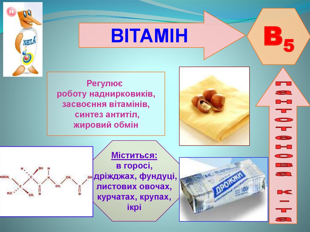 Синтез витамина б