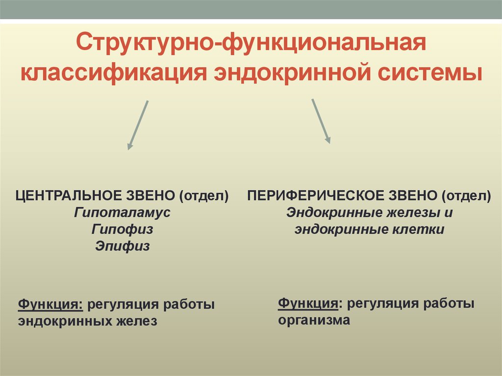 Функциональная классификация. Структурно-функциональная организация эндокринной системы. Центральные и периферические звенья эндокринной системы. Классификация эндокринной системы. Классификация органов эндокринной системы.